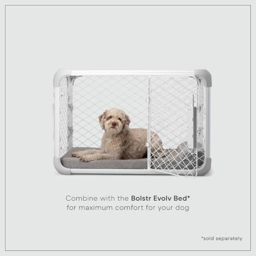 Evolv Modular Dog Crate for Dogs 18 (Intermediate (38.1"L x 24.9"W x 25.6"H) / Ash)