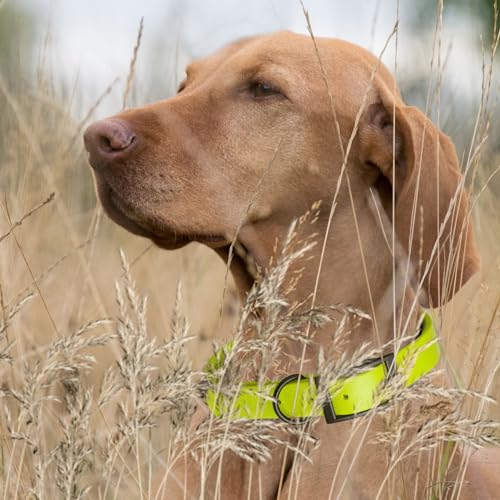 Biothane Waterproof Dog Collar Strong Coated Nylon Webbing with Black Hardware Odor (W5/8" x L12-15" / Safety Yellow)