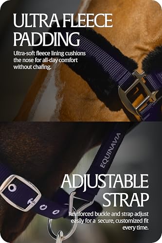 Valkyrie Ultra Fleece Padded Leather Fuse Breakaway Horse Halter (Navy/Navy / Warmblood)