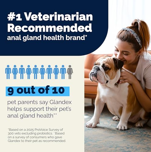 Glandex for Dogs Anal Gland Chews 60ct Pumpkin + Digestive Enzymes (60ct)