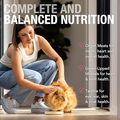 Canned Grain Free High (6 Ounce (Pack of 12))