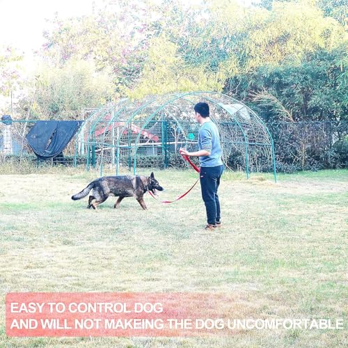 Dog Puppy Obedience Recall Training Agility Lead (Brown / 20 Feet)