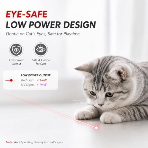 Interactive Cat Toy with Class 1 Laser Pointer