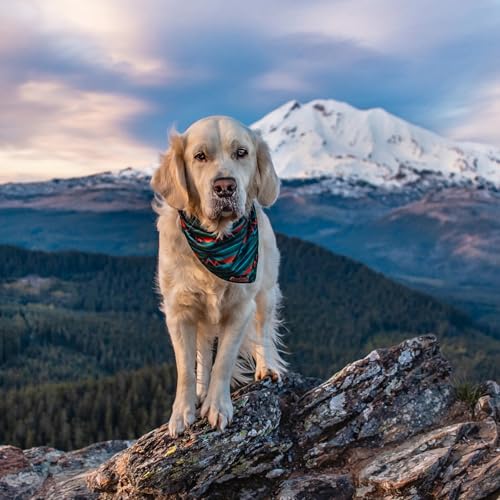 Dog Bandana with Lightweight Quick Drying Poly (Olive)
