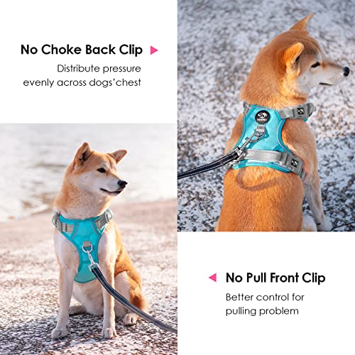 No Pull Dog Harness (Mint Green Base & Grey Straps / Medium)