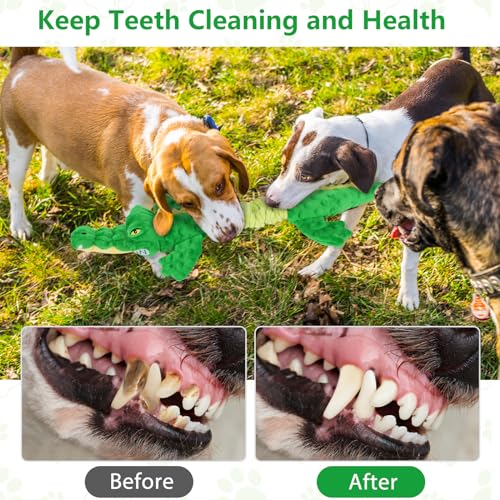 Large Squeaky Alligator Dog Toys (Alligator)