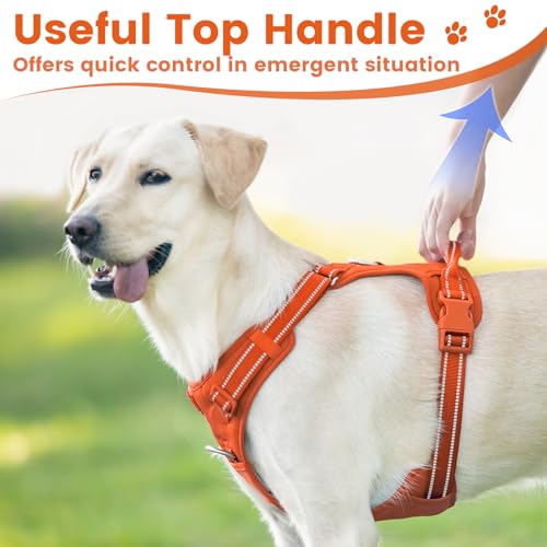 No Pull Dog Harness Front Clip Handle (Orange / L(Neck:20.9-31.5",Chest:24.8-37.4"))