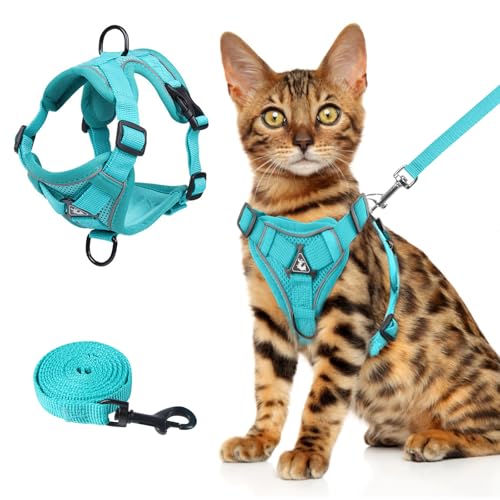 cat Chest Harness and Leash (Emerald / L:11.02-16.5lb)