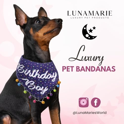 Luxury Pet Birthday Bandanas (Birthday Boy / Small)