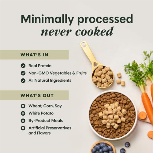 Freeze Dried Mixers (6 Ounce (Pack of 1))
