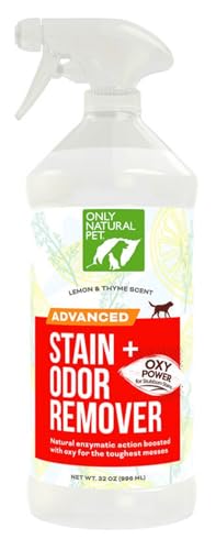 Advanced Stain & Odor Eliminator (32oz (Pack of 1))