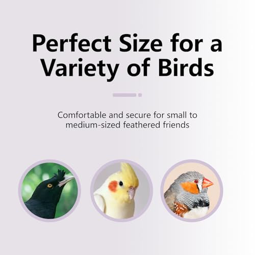 Mineral Bird Perch (Gradient Purple / 4.7")