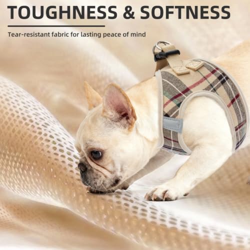 Dog Harness Collar and Leash Set No Pull for Small Medium Sized (Beige / XXS (CHEST 11.5"-13"))