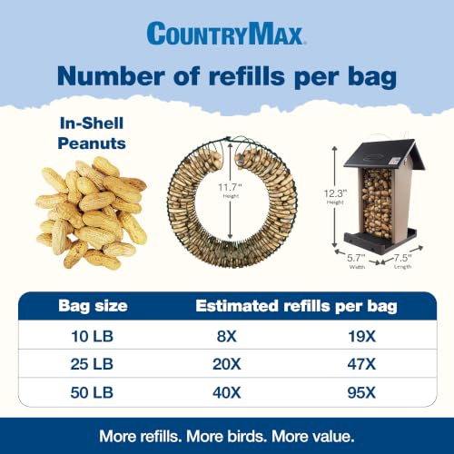 Backyard Seeds 50 Pounds Peanuts in Shell (50 Pound (Pack of 1) / Raw In-Shell)