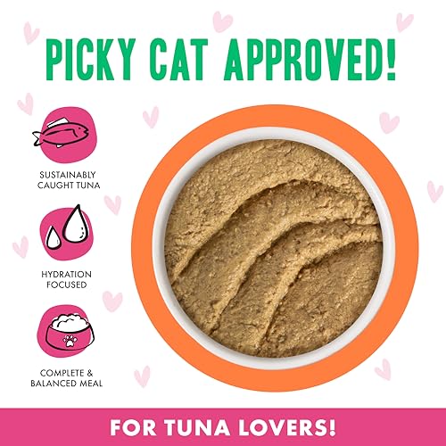 B.F.F. Play Best Feline Friend Paté Lovers (3 Ounce (Pack of 12))