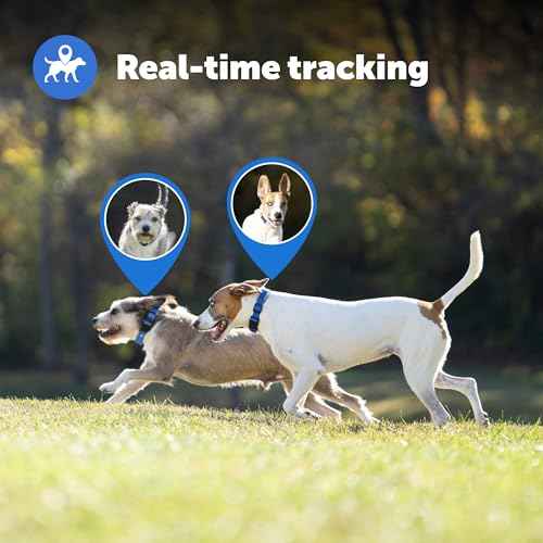 Guardian GPS Dog Fence + Tracking (Guardian GPS Fence Collar)