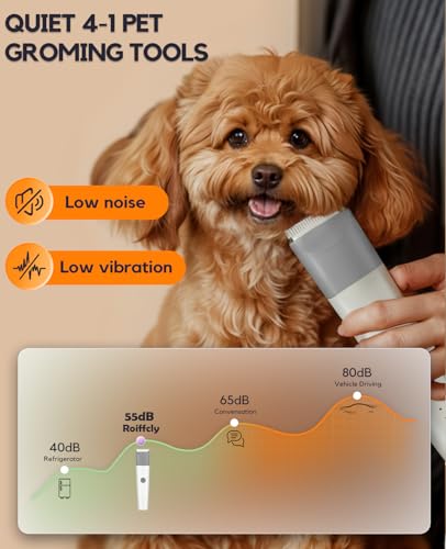 4 in 1 Rechargeable Dog Clippers Grooming Kit with 2 Speeds and Low Noise (Gray)