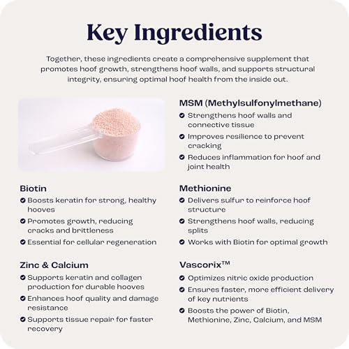 Summit Equine Hoof Strength Powder for Horses