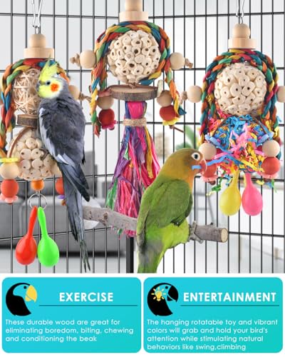 3PCS Bird Parrot Foraging Shredder Hanging Toys Sola Balls with Sand Hammer for Small Parrots Parakeets Conures Cockatiels Love Birds Cage Toy (3 PCS)