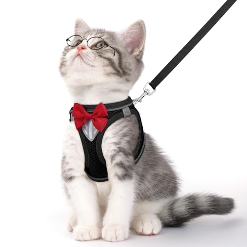 Cat Vest Harness and Leash Set (Black / M)