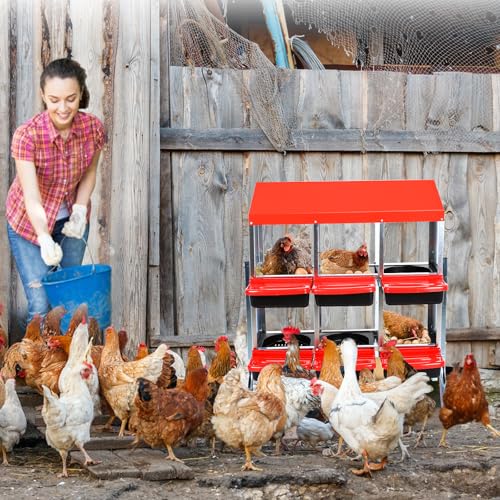 Chicken Nesting Box (Red- 6 compartment with legs)