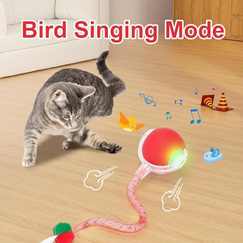 Speed 2.0 Tail Interactive Cat Toys for Indoor Cats (New Green)