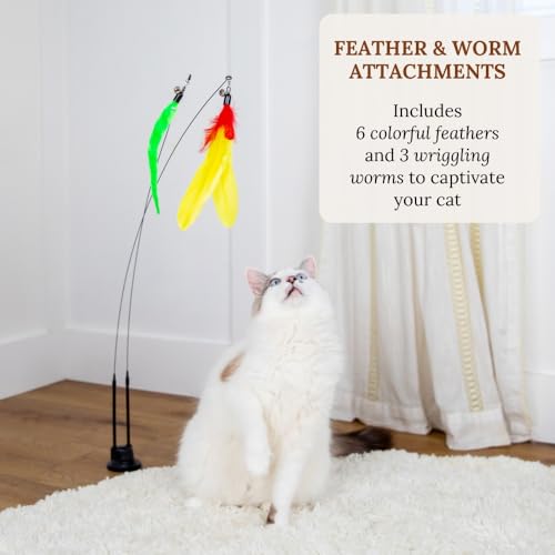 Cat Toys for Indoor Cats (Meow Motion Bundle)