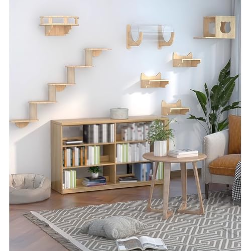 Cat Wall Climber