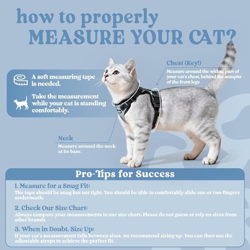 Cat Harness and Leash Set (S / Doodle Gray)