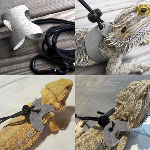 Bearded Dragon Travel Backpack with Harness and Leash Set (Black)