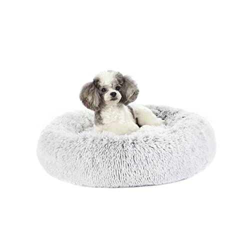 Calming Fluffy Donut Dog Bed for Small Dogs (23.0"L x 23.0"W x 7.0"Th / Light Grey)