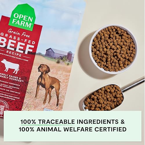Grain Free Dry Dog Food (11 Pound (Pack of 1))