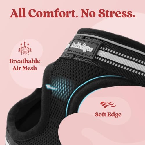 Cat Harness and Leash Set (XL / Black)