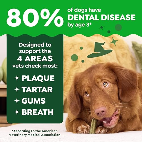 Petite Natural Dental Dog Treats (20 Count (Pack of 1))