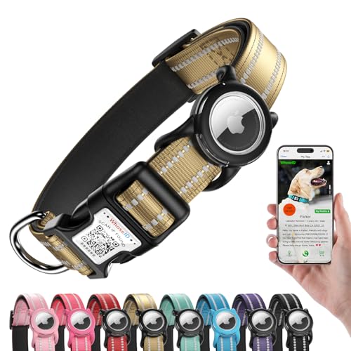 Airtag Dog Collar (Z: Gold / M: with Airtag Holder)