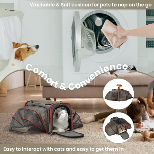 Expandable Cat Dog Carrier for 2 Cats (19"L x 12"W x 12"H / Brown)