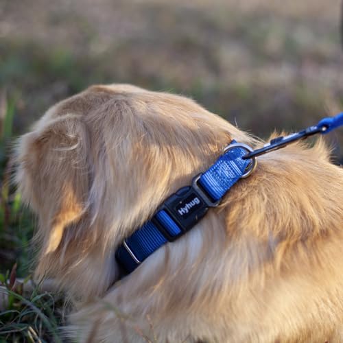 Blue Puppy Collar (Small / Classic Blue)