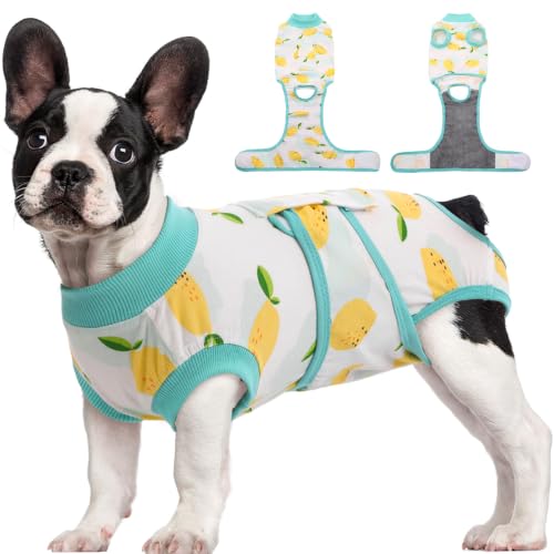 Recovery Suit for Dogs Cats (M (Back:13.4-16.1'', Weight:14-25 Lb) / Lemon Zest)