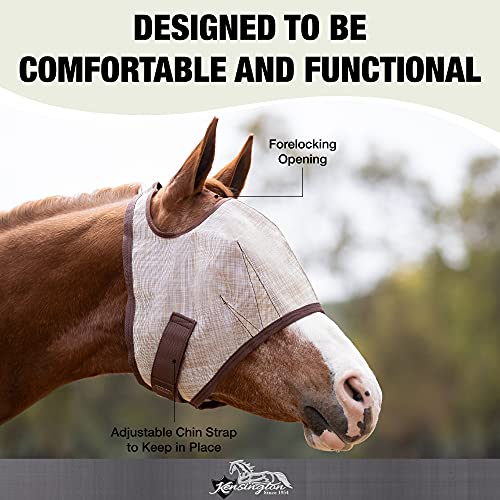 Kensington Fly Mask Web Trim Protects Horses Face and Eyes from Bites and Sun Rays While Allowing Full Visibility Ears and Forelock Able to Come Through The Mask (XXL (Draft))