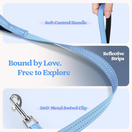 Dog Harness Small Sized and Leash Set (Blue & Plaid Trim / Xs (chest: 13.3 - 15.5"))