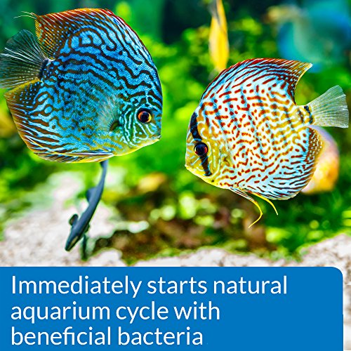 Quick Start Freshwater & Saltwater Aquarium Nitrifying Bacteria (8-Ounce)