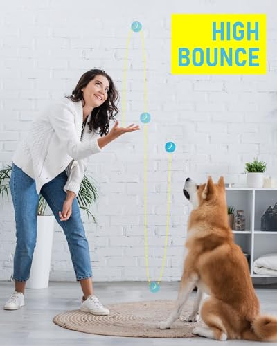 Durable Dog Tennis Balls 3 Pack (2.5" Non-Squeaky / 3 Pack, Blue)