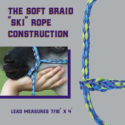 Poly Rope Sheep Halter (Lime/Hurricane Blue/Royal Blue)