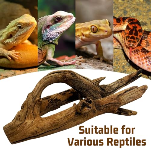 Bearded Dragon Driftwood for Reptile