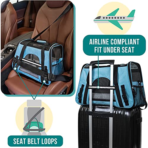Airline Approved Pet Carrier for Cats & Small Dogs (Light Blue / 19.5"L x 10.2"W x 12.0"H)