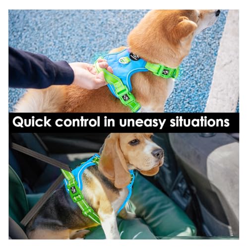 No Pull Dog Harness (Blue Base & Green Straps / Large)