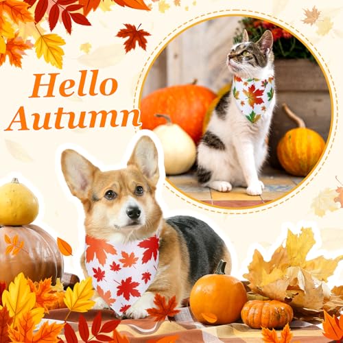 100 Pcs Fall Dog Bandanas Bulk Maple Leaf Print Autumn Pet Bandana (Maple / 25.6 x 17.7 x 17.7")