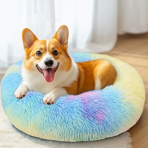 28in Large Dog Bed (Rainbow / 28.0"L x 28.0"W x 8.0"Th)