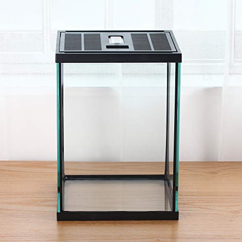 Vertical Glass Terrarium for Mantis (L7.8 x W7.8 x H10.8 inches / Black)