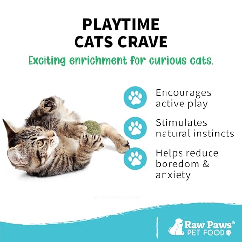 Catnip Balls for Cats (6-pack)